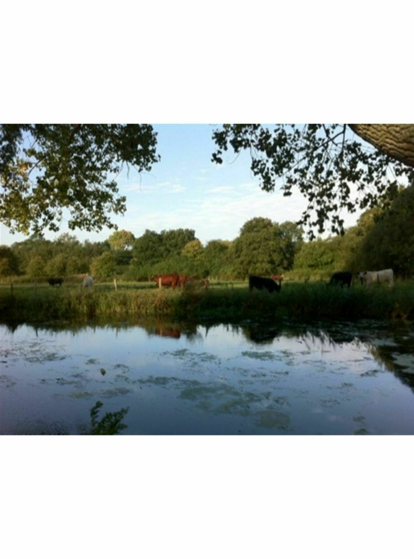 Long Melford Accommodation, Old Stables 외부 사진
