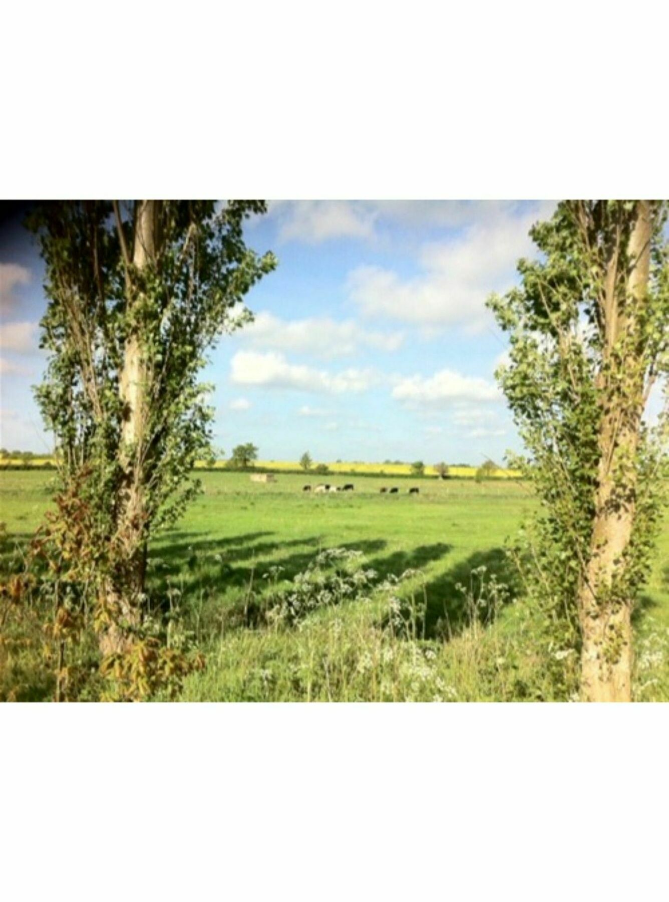 Long Melford Accommodation, Old Stables 외부 사진